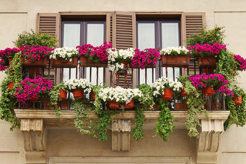 Front balcony design with home that is not without the energising sight of greenery with front design of balcony