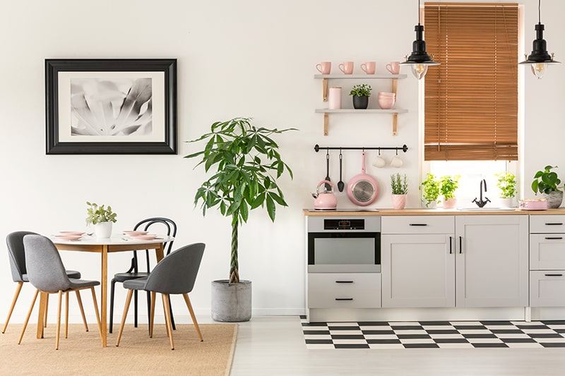 Small kitchenette design in which peg rail is put up below open shelves