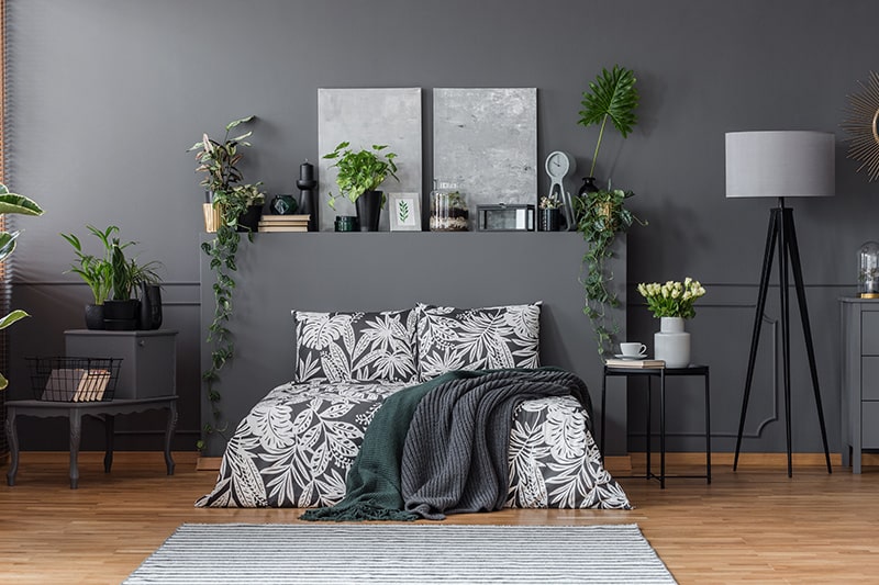 Add contrasting knick-knacks to elevate the beauty of black bedroom