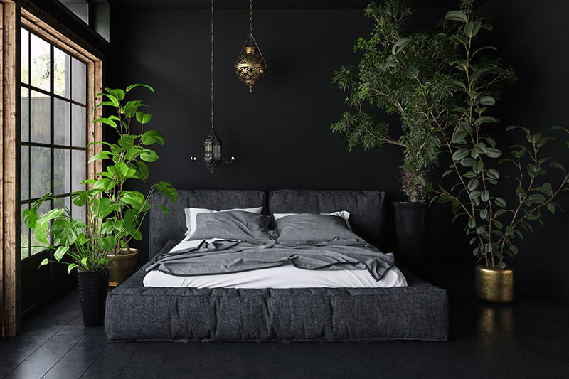 Black and white bedroom to place indoor planters to soften your black bedroom