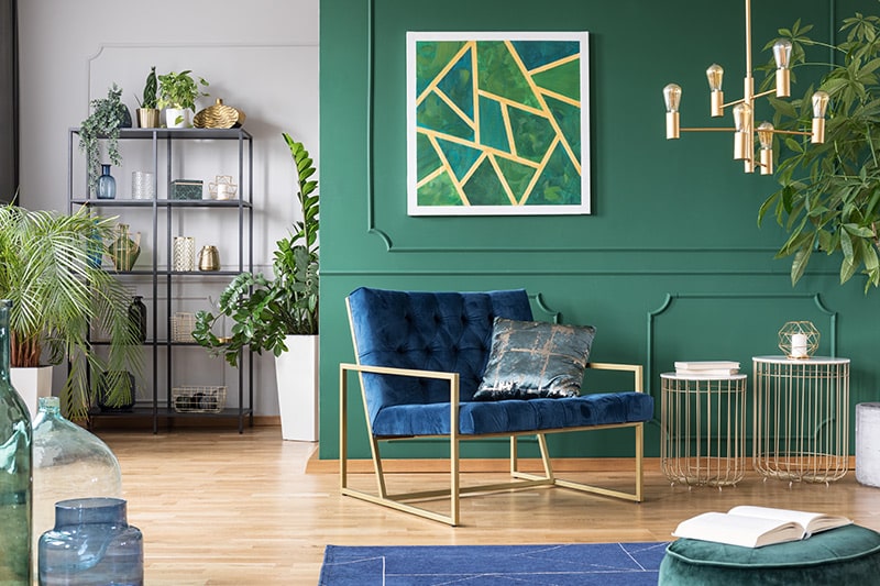 The decadent dark shade green colour room for a royal look and feel