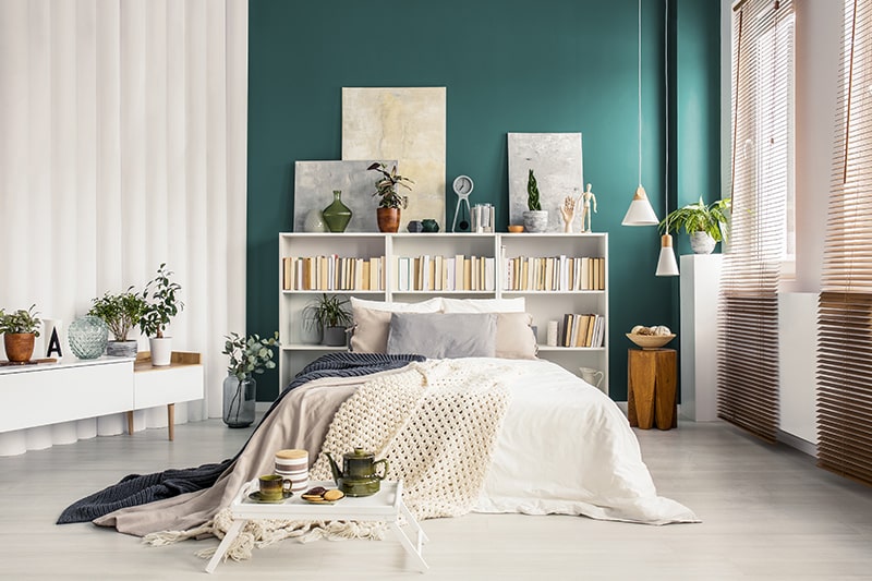 A headboard with shelves for books, small indoor plants and photographs to make stylish headboard designs