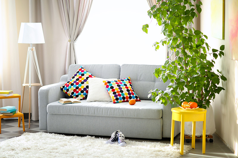 Corner decoration furniture sofa with fluffy pillows makes for a pleasant place to relax.