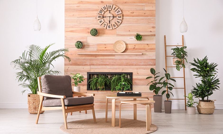 Hanging plant indoor ideas for beach wood wall