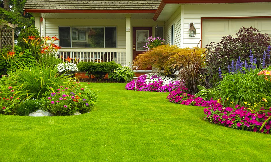 Home and garden interior design pictures pretty pinks and perfect purples pretty coloured flowers