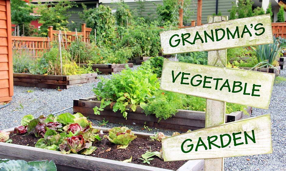 Home garden design pictures with home made vegetable garden has separate veggie patches created using spare wood