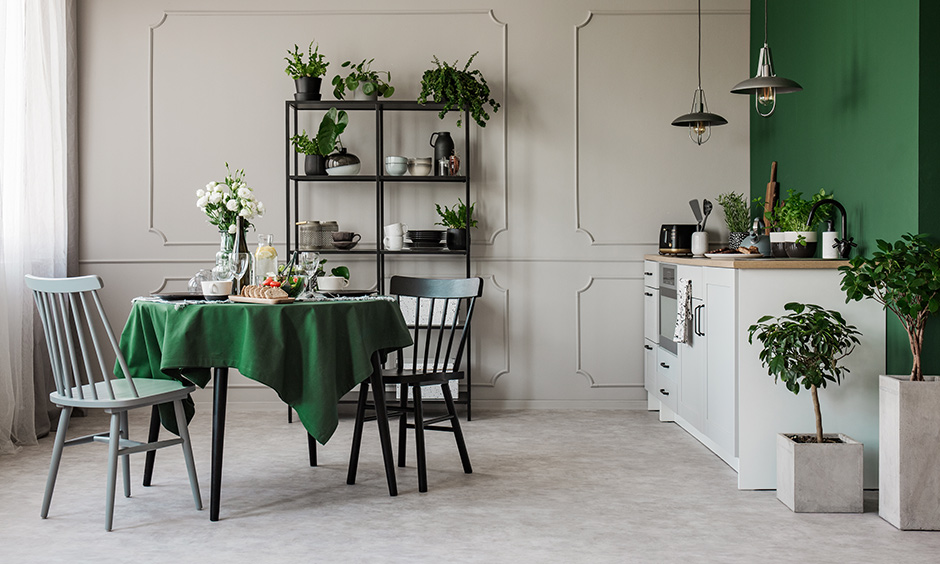 A dining room design that has pots,plants and a crockery desk to add nature's vibe into the room