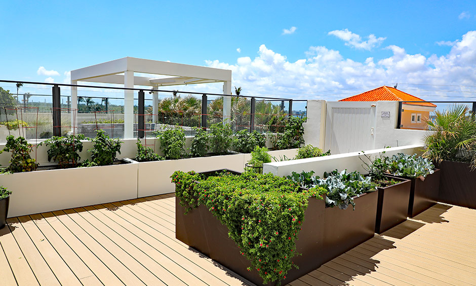 Small space garden ideas for the roof grow a few larger plants, shrubs and small trees as they are low maintenance.