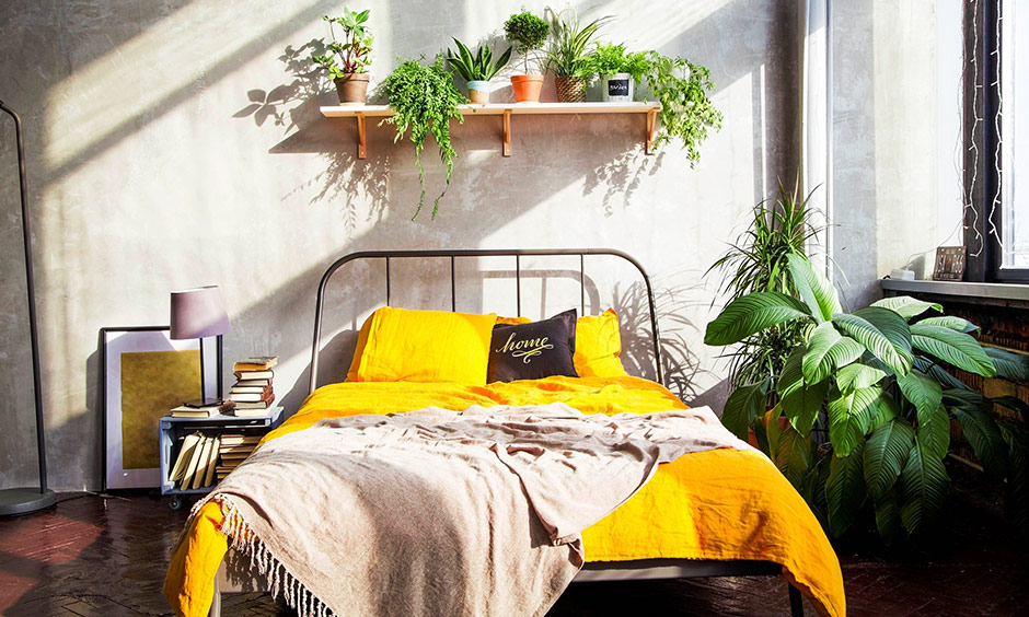 Yellow bedroom rug takes you back to the Jungle Book days surrounded by trees and plants.