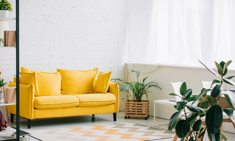 A yellow sofa and green indoor plant like bamboo till terrarium add sunshine in dark green and yellow living room.