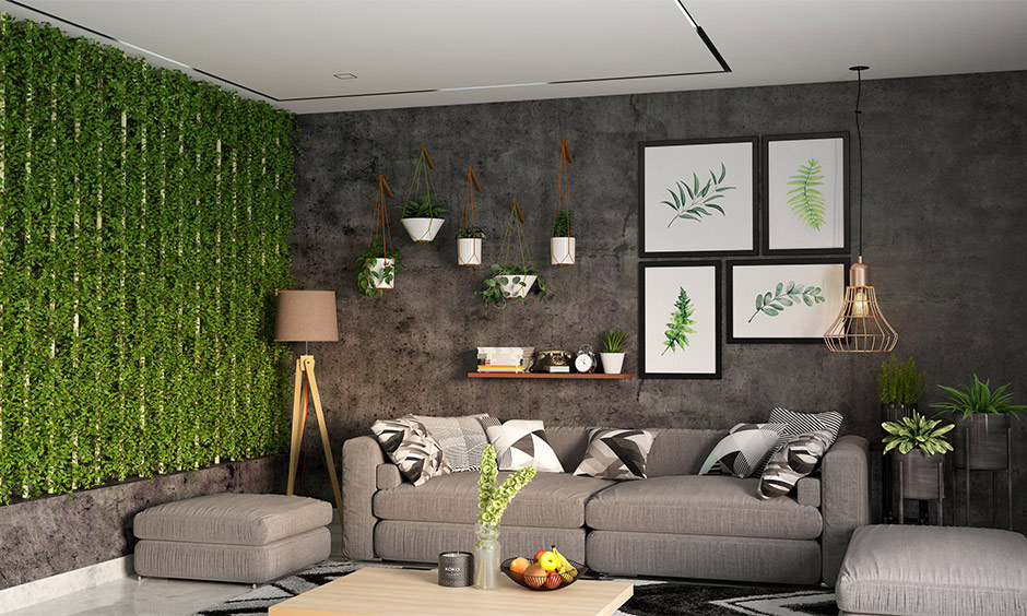 Go for green wall as garden home decor