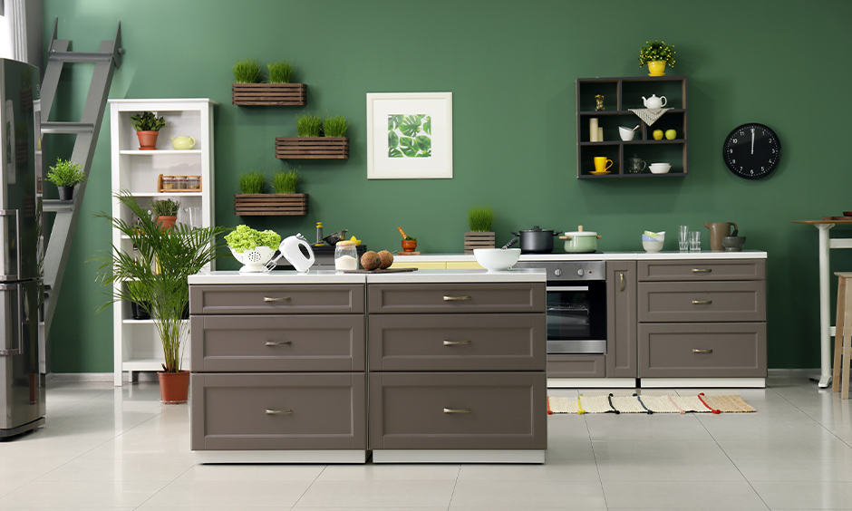 A kitchen shelf in dark grey against the green wall hanging shelves for kitchen with indoor plant brings in nature’s vibe.