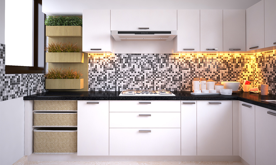 Small kitchen wall decored with mini vertical garden