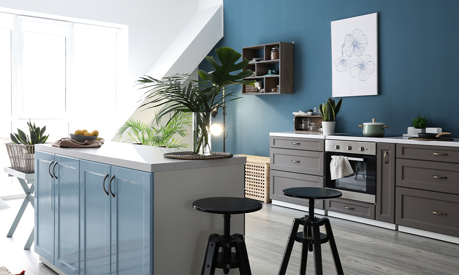 Modern kitchen colour combination in white and teak blue with indoor plants brings calmness.