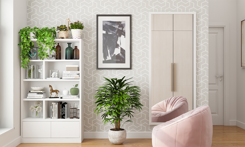 Money plant in bedroom Vastu, the bedroom has money plants placed on top of the white open bookshelf.