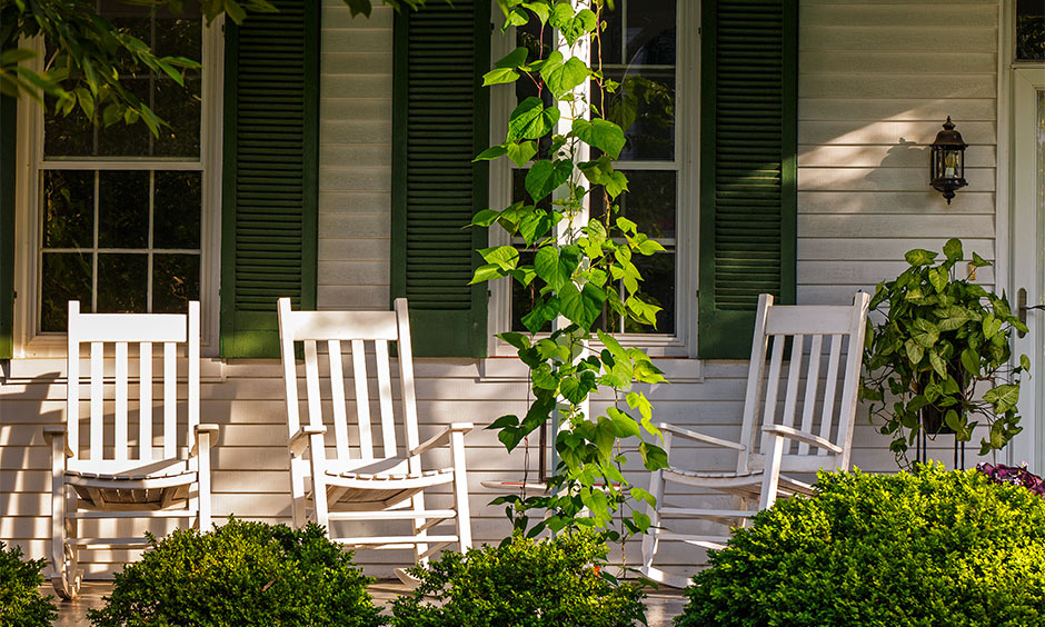 Money plant placement as per Vastu, Money plants placed in the backyard brings negative effects on financial health.