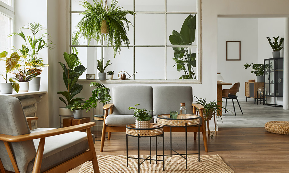 Decorating your home for spring with indoor plants brings a nature vibe to the living area