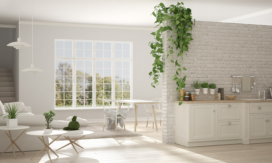 White open living room in minimalist home design with natural indoor plants brings a freshness to the area.