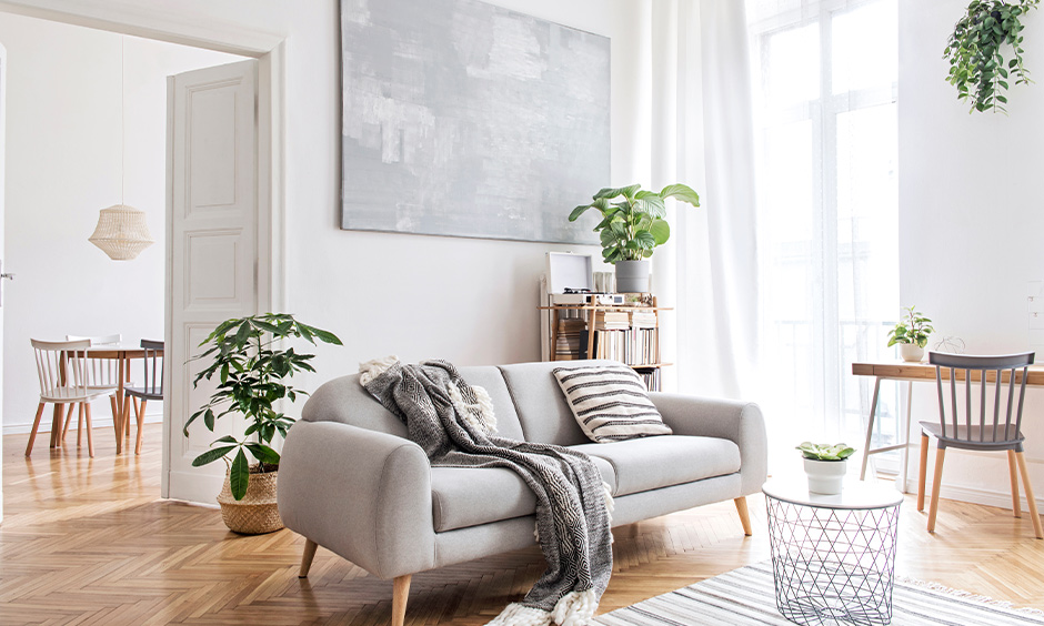 Scandinavian design living room with indoor potted plants and wooden flooring brings in a refreshing look.