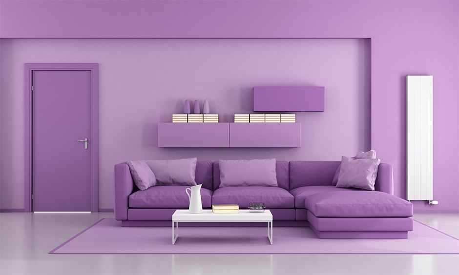 Living room in purple wall colour combination with purple l-shaped lounger couch and shelves creates a bold statement.