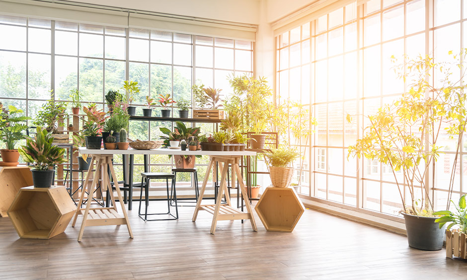 A dedicated home vegetable gardening room with big glass windows