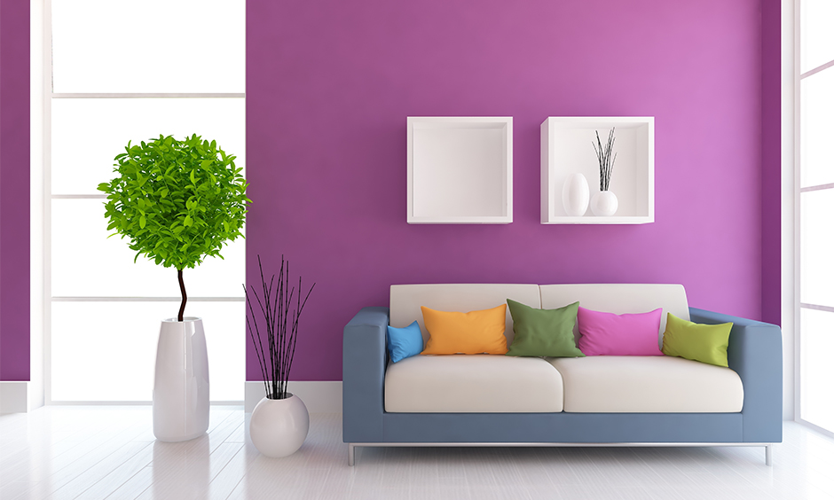 Living room has cushions in multicolor combination with a purple wall color combinations that creates a vibrant feel.