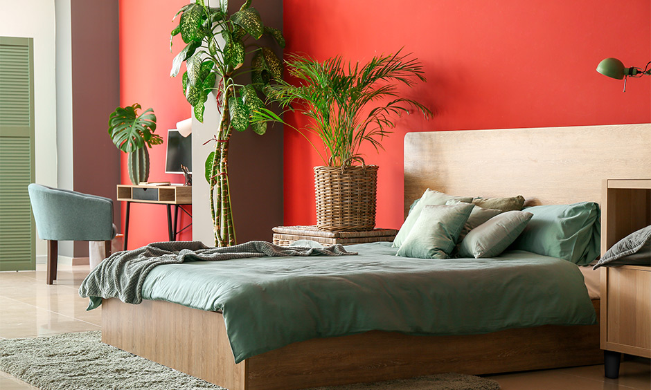 Minimalist bedroom in a red colour room wall and indoor green plants brings a refreshing vibe.