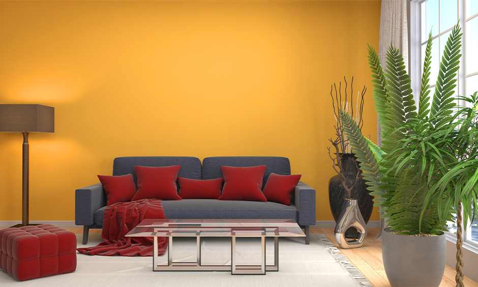 Don this brown, red & grey color combination with yellow wall