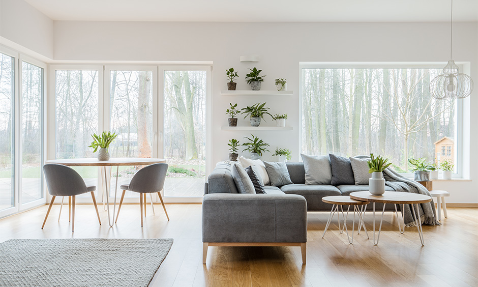 Enhance a grey and white living room with touches of green