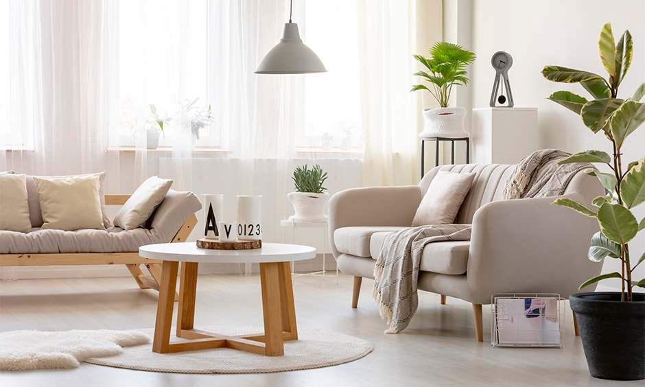 Rental home decor ideas add diy indoor plants to infuse a nature vibe to the space